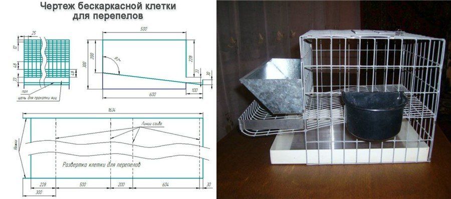 Как сделать клетку для перепел Как сделать клетку для перепел