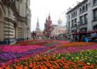 モスクワ国際庭園と花のフェスティバル モスクワフラワーショー